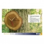 Preview: TFA Dostmann 60.3046.08 Analoge Wanduhr aus Eichenholz TREE-O-CLOCK
